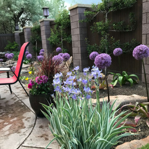 landscape designer near me